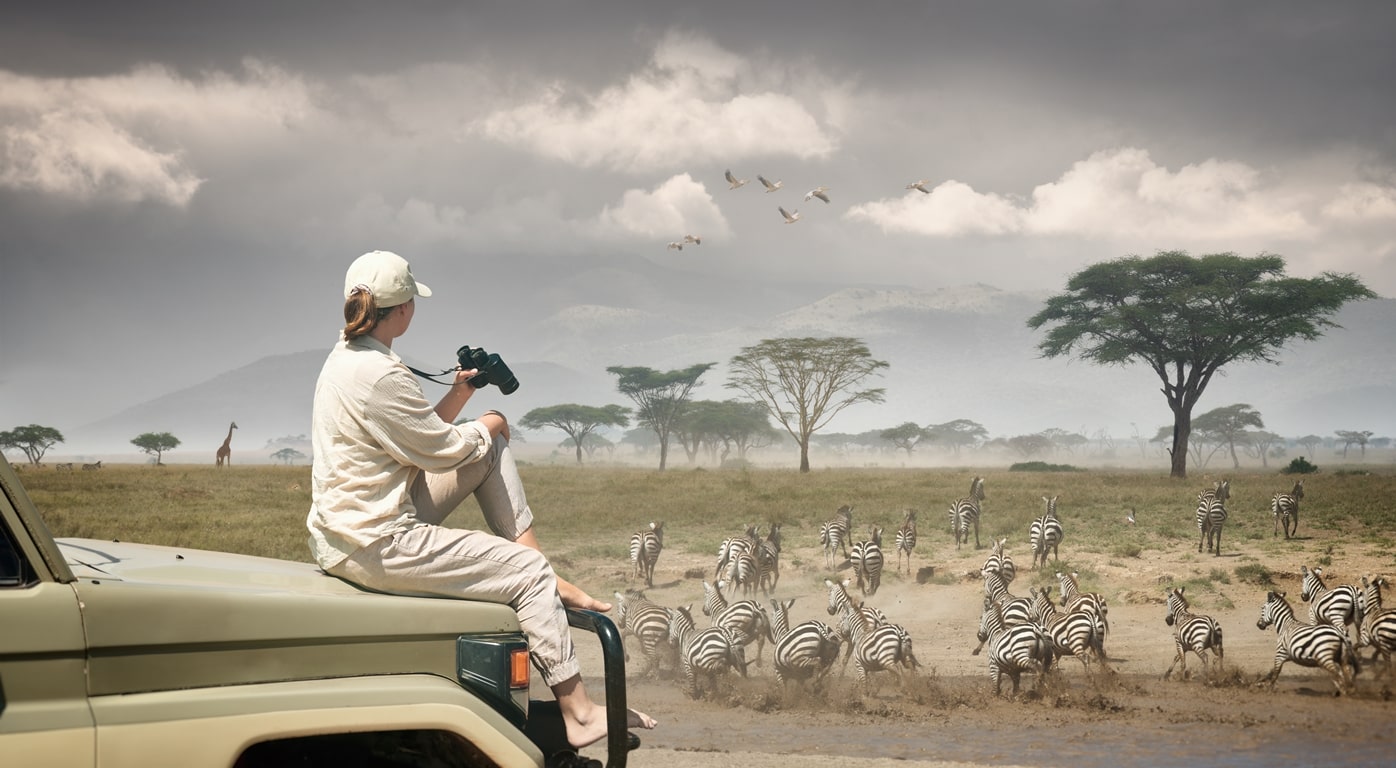 migration safari
